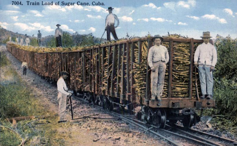 Sugar train